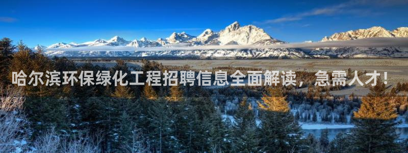 亿万百度百科：哈尔滨环保绿化工程招聘信息全面解读，急需人才！