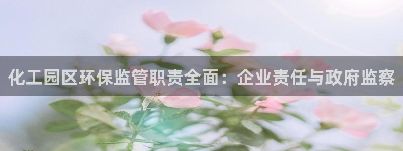 亿万 下载：化工园区环保监管职责全面：企业责任与政府监察