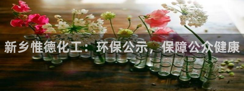 亿万城市手游官网：新乡惟德化工：环保公示，保障公众健康