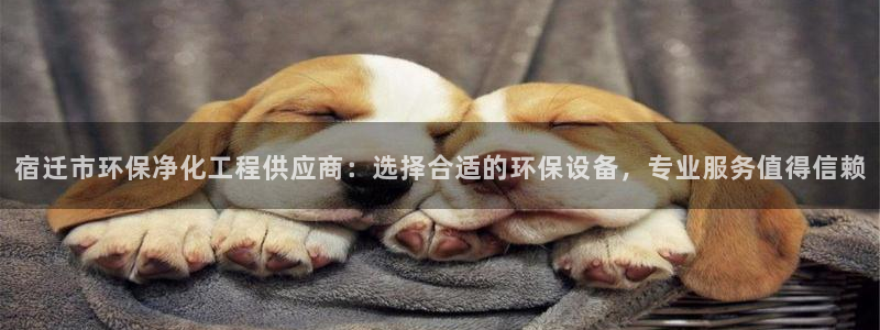 亿万先生网页在线客服：宿迁市环保净化工程供应商：选择合适的环保设备，专业服务值得信赖