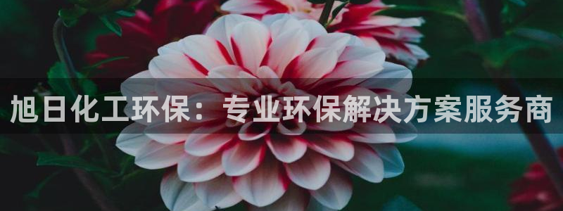 亿万下载徐家汇朋友圈说说：旭日化工环保：专业环保解决方案服务商