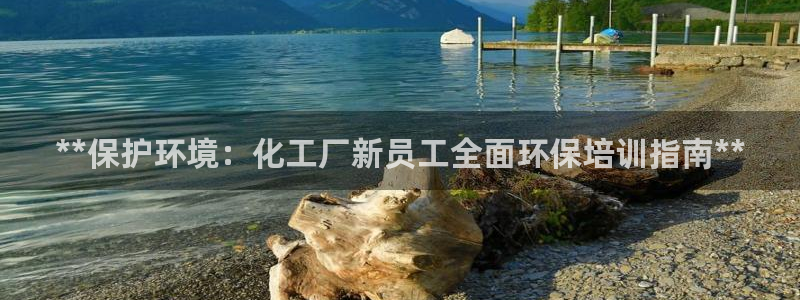 亿万首富手游：**保护环境：化工厂新员工全面环保培训指南**