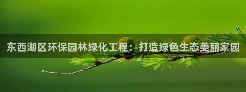 电影亿万：东西湖区环保园林绿化工程：打造绿色生态美丽家园