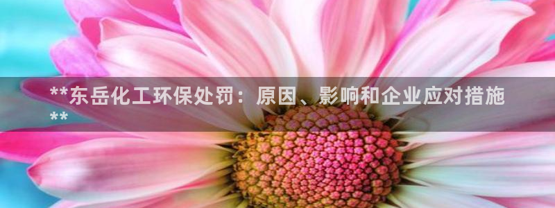 亿万先生官方网站客户端下载安装最新版：**东岳化工环保处罚：原因、影响和企业应对措施
**