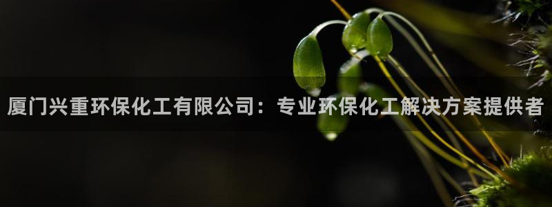 亿万先生mr01官网 - 亿万先生手机版入：厦门兴重环保化工有限公司：专业环保化工解决方案提供者