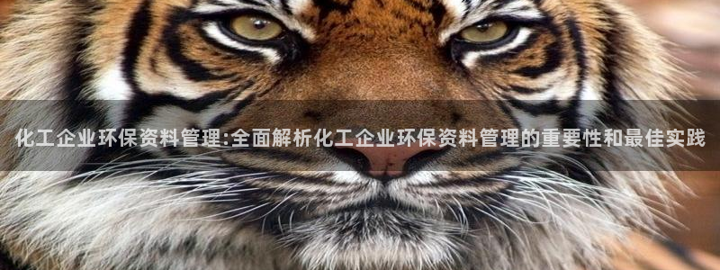 亿万先生mr07官网：化工企业环保资料管理:全面解析化工企业环保资料管理的重要性和最佳实践