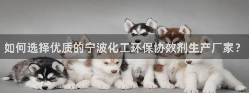 mr亿万先生：如何选择优质的宁波化工环保协效剂生产厂家？