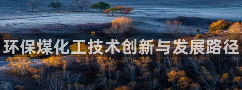 亿万官网字幕组官网下载：环保煤化工技术创新与发展路径