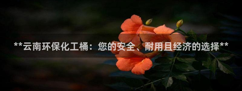 亿万集团有限公司：**云南环保化工桶：您的安全、耐用且经济的选择**