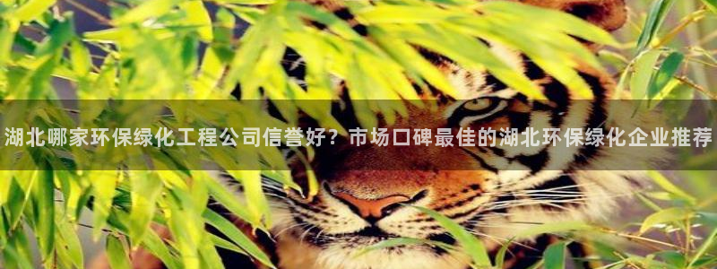 亿万网络科技有限公司ceo：湖北哪家环保绿化工程公司信誉好？市场口碑最佳的湖北环保绿化企业推荐