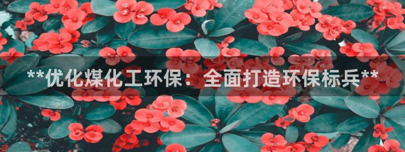 亿万先生m007：**优化煤化工环保：全面打造环保标兵**