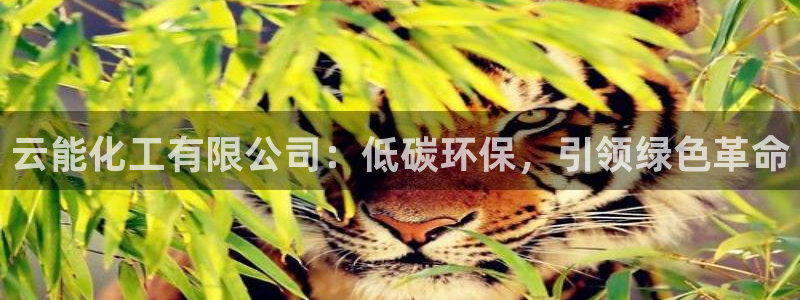亿万剧情详解：云能化工有限公司：低碳环保，引领绿色革命
