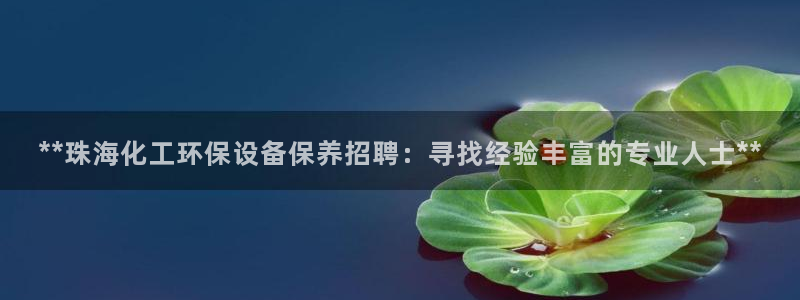 亿万同人字幕组微博的微博：**珠海化工环保设备保养招聘：寻找经验丰富的专业人士**
