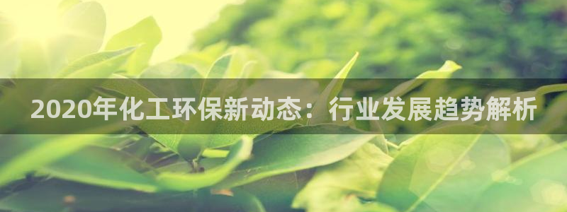 亿万先生合并：2020年化工环保新动态：行业发展趋势解析