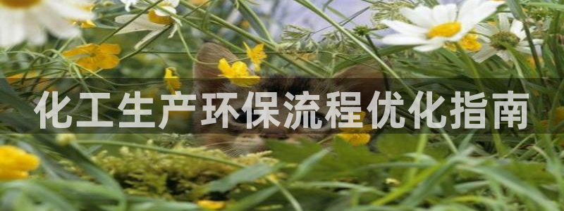 亿万先生网站下载：化工生产环保流程优化指南