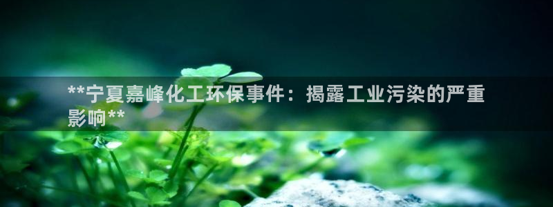 亿万国际游戏官网：**宁夏嘉峰化工环保事件：揭露工业污染的严重
影响**