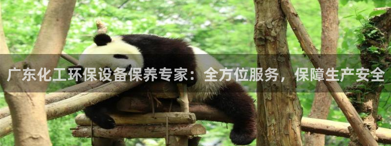 亿万先生mr008