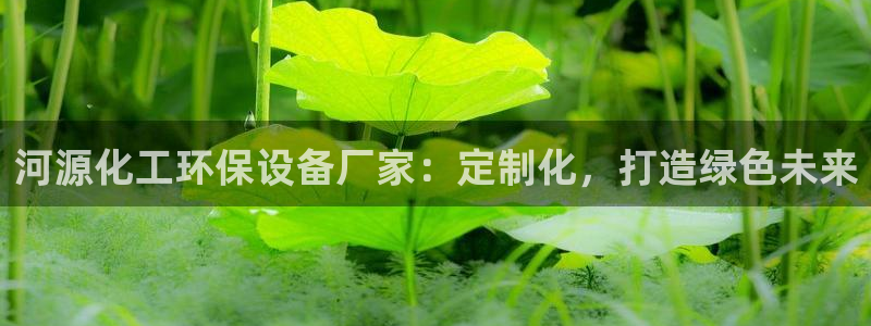 亿万官网手机登录：河源化工环保设备厂家：定制化，打造绿色未来