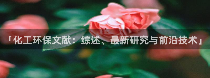 mr8001亿万先生在线存款：「化工环保文献：综述、最新研究与前沿技术」