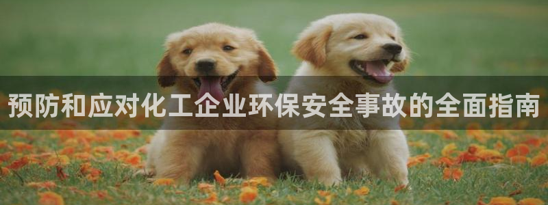 亿万先生客户端下载：预防和应对化工企业环保安全事故的全面指南