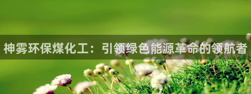 亿万手游官网网址：神雾环保煤化工：引领绿色能源革命的领航者