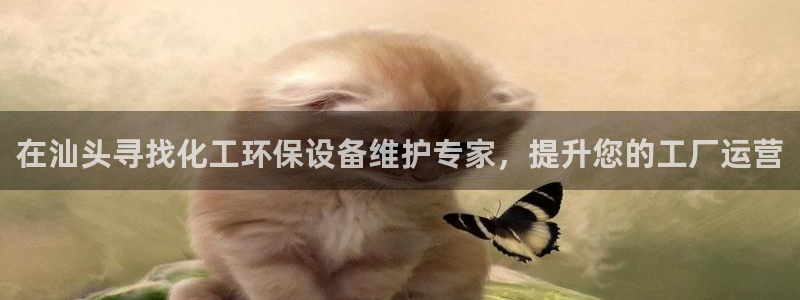 亿万先生客户端官网下载：在汕头寻找化工环保设备维护专家，提升您的工厂运营