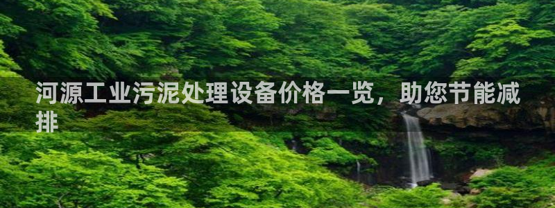 亿万app：河源工业污泥处理设备价格一览，助您节能减
排