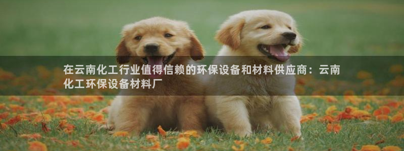 亿万先生下载客户端：在云南化工行业值得信赖的环保设备和材料供应商：云南
化工环保设备材料厂