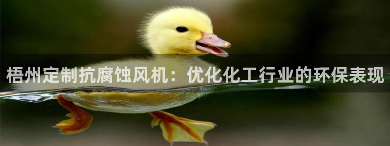 亿万28下载地址：梧州定制抗腐蚀风机：优化化工行业的环保表现