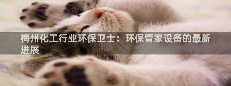 亿万先生手机版：梅州化工行业环保卫士：环保管家设备的最新
进展