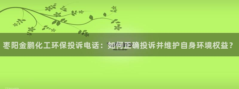 亿万网络科技有限公司ceo：枣阳金鹏化工环保投诉电话：如何正确投诉并维护自身环境权益？