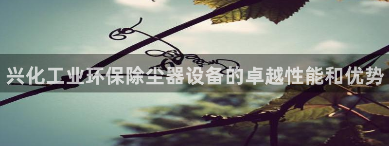 亿万先生 菲律宾：兴化工业环保除尘器设备的卓越性能和优势
